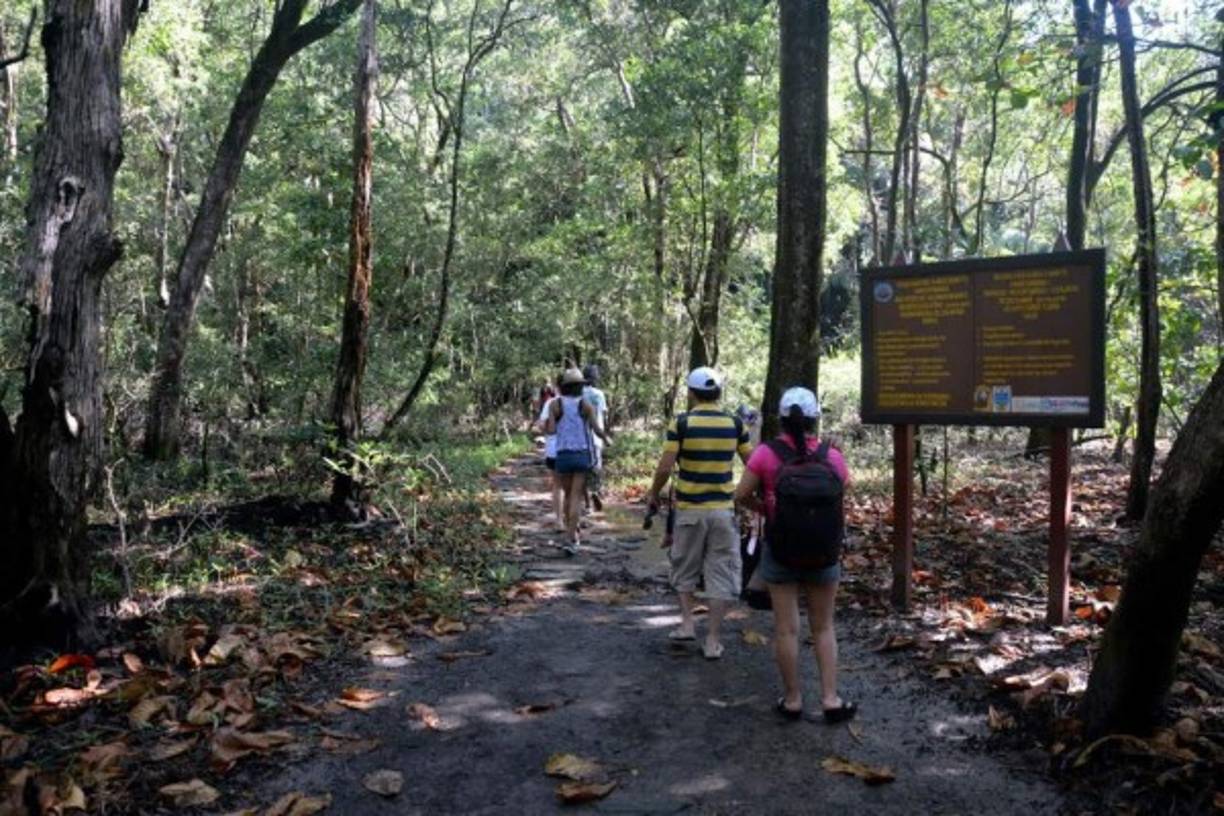 El túnel del amor será una experiencia para contar.