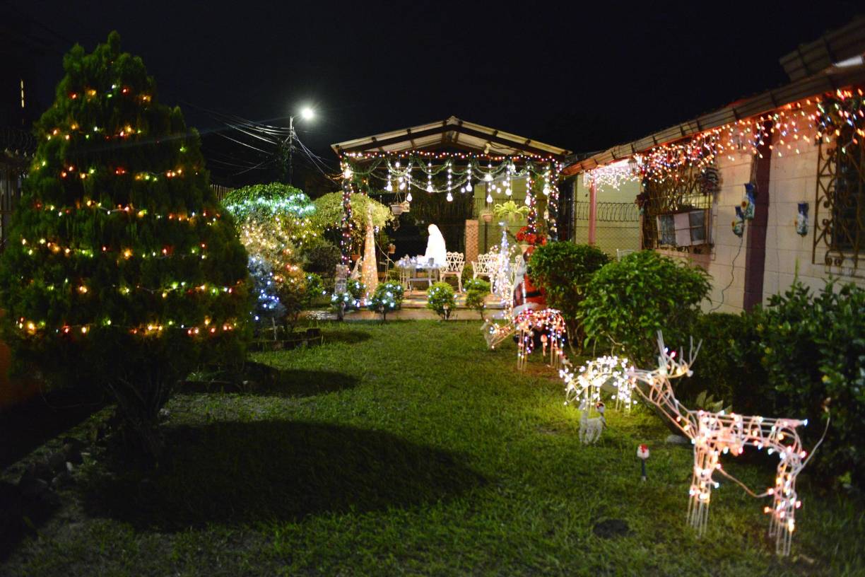 Con nostalgia recordó que de niña soñaba con tener un árbol de Navidad en su casa y compartir a su alrededor con sus seres queridos, tal como se veía en las películas y otros hogares de su comunidad.