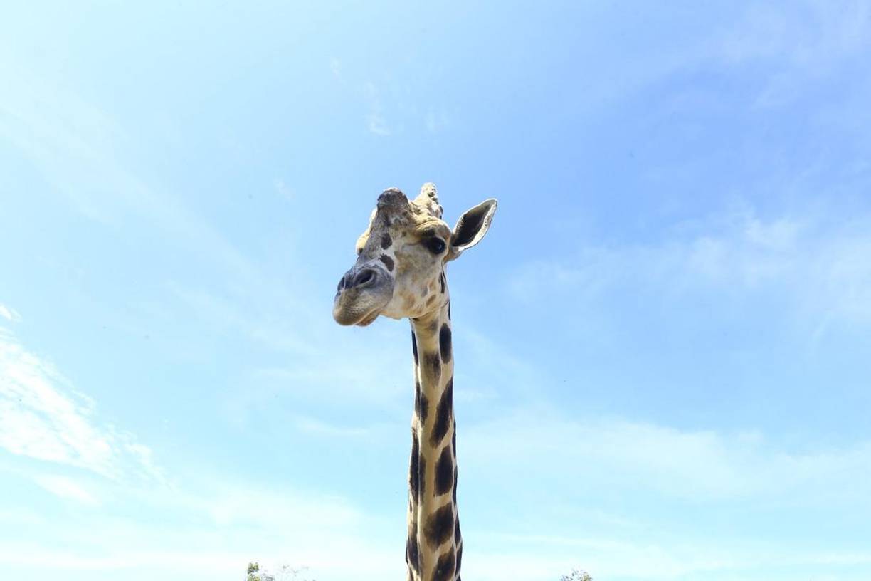 Cristian Fuentes, quien se encontraba en el lugar cuando se supo de la muerte de “Big Boy” contó que de inmediato se cerraron las instalaciones.