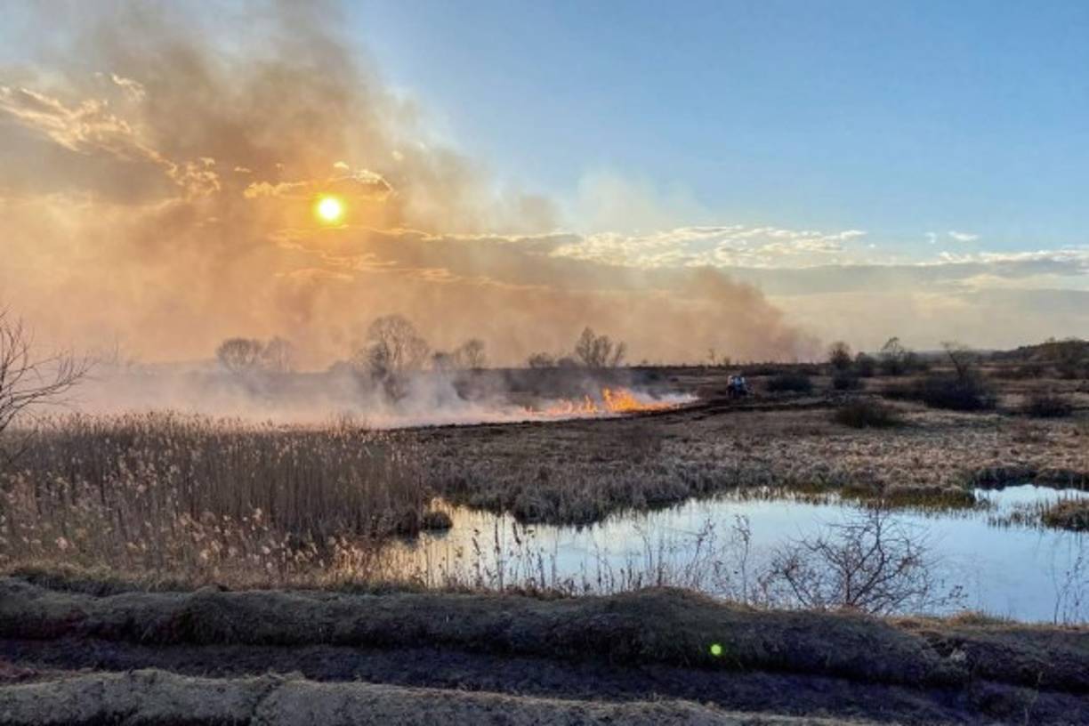 Dos aviones, un helicóptero y un centenar de bomberos estaban movilizados contra el incendio.