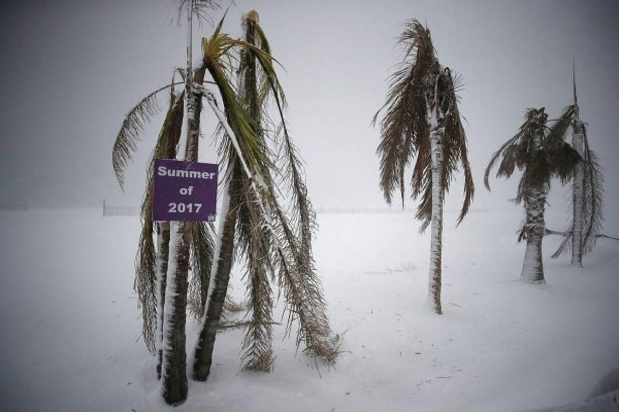 Las playas de Maryland quedaron cubiertas de nieve tras las intensas tormentas que azotan EEUU.