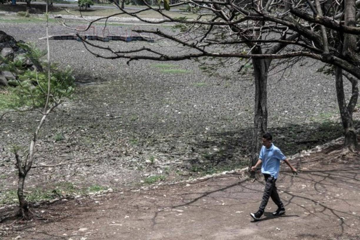 Pese a que en la última semana se registró un repunte en las lluvias en gran parte de Costa Rica, las mismas han sido insuficientes para devolver el caudal a los lagos.