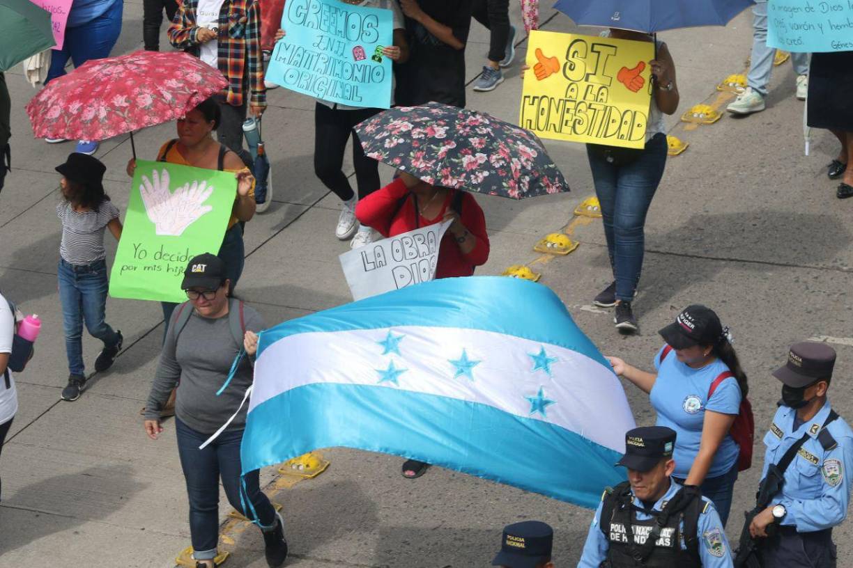 Los sectores que se oponen a la ley consideran que la normativa está “lejos de resolver el drama de las menores embarazadas” y que lo que buscan las autoridades es “implementar en el país un proyecto educativo basado en la destructiva ideología de género promovida por los organismos internacionales”.
