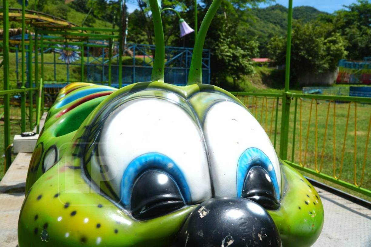 “Estamos consternados con este hecho lamentable, nos sentimos muy tristes porque era una niña llena de vida, era compañera de mi hijo”, dijo una persona cercana a la familia. 