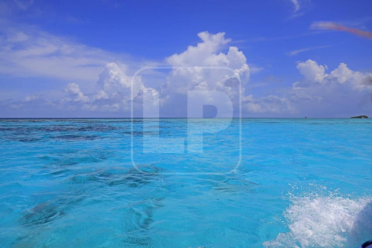 Así de hermoso y turquesa es el azul del mar cuando la lancha se acerca a Lawrence Rock, la piscina natural en medio del mar en el lado oeste de los Cayos Zapotillos. Estos cayos hacen una forma de J inclinada y justo donde comienza esta especie de gancho, es donde se localiza Lawrence Rock.