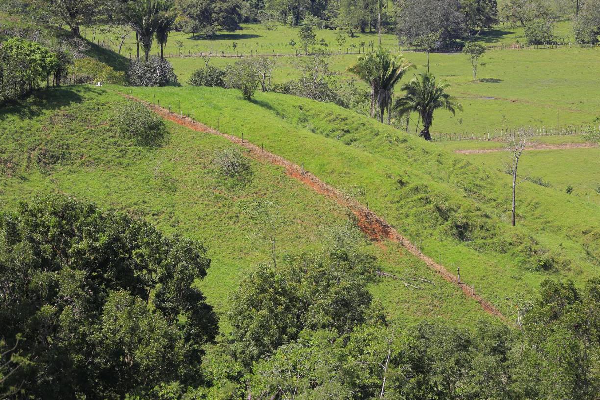 La señal de celular se va perdiendo, así que si nos pasa algo será difícil que se entere el resto afuera. Hay un silencio de extremo a extremo y fueron pocos los “campesinos” que se hallaron, unos de ellos andaban en moto.