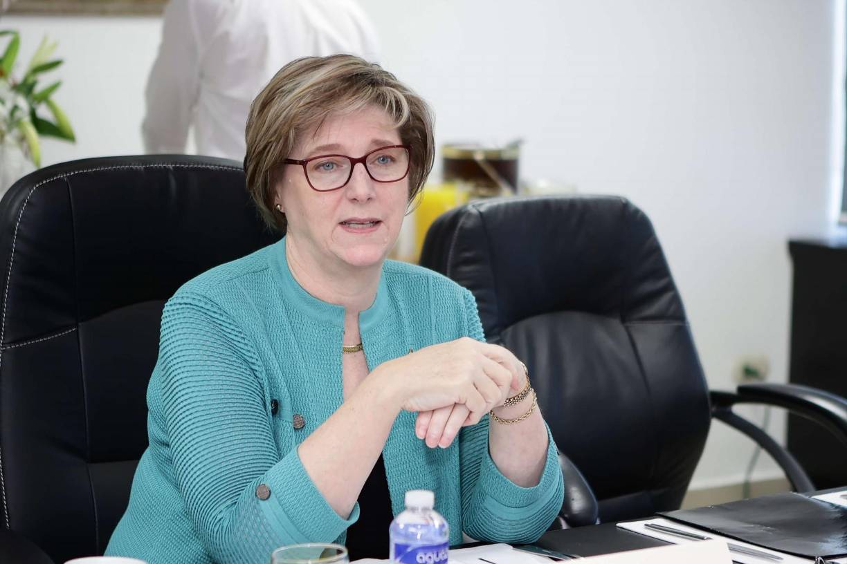 “El proceso y preparación para elecciones 2025 inició después de elecciones 2021”, escribió la diplomática en sus redes sociales, sin embargo, desde el gobierno, el mensaje no fue visto de la mejor manera y varios funcionarios y dirigentes del partido de Gobierno reaccionaron al respecto. 