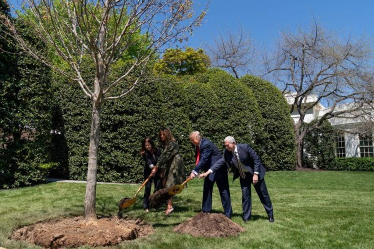 Trump y Melania aparecieron junto al vicepresidente Mike Pence, y su esposa Karen, sin mascarillas ni guantes de protección, generando críticas entre la oposición demócrata.