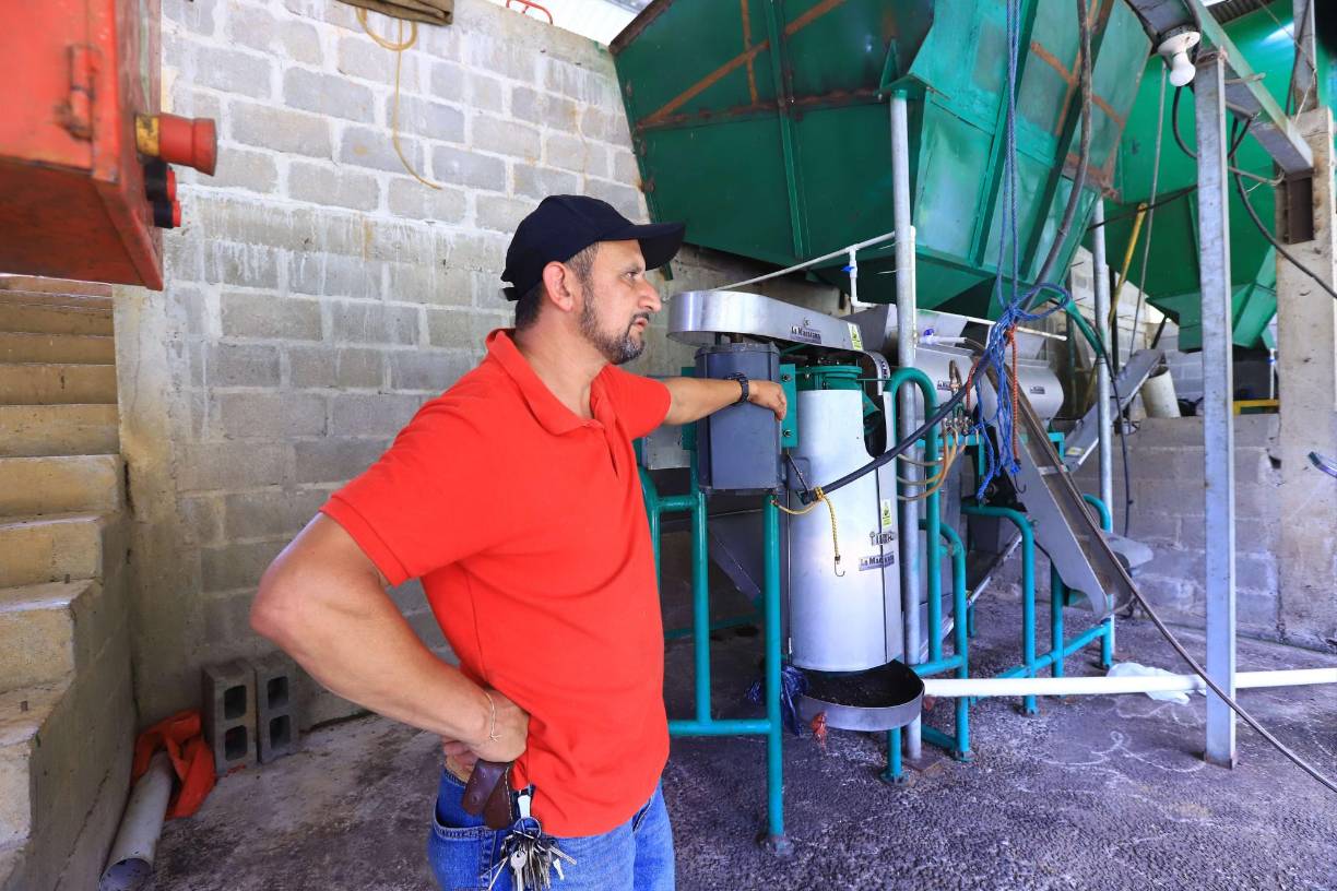 Después de su triunfo logró establecer relaciones comerciales con compradores extranjeros, invirtió en nuevas variedades de café y continuó participando en el concurso, quedando siempre entre los finalistas.