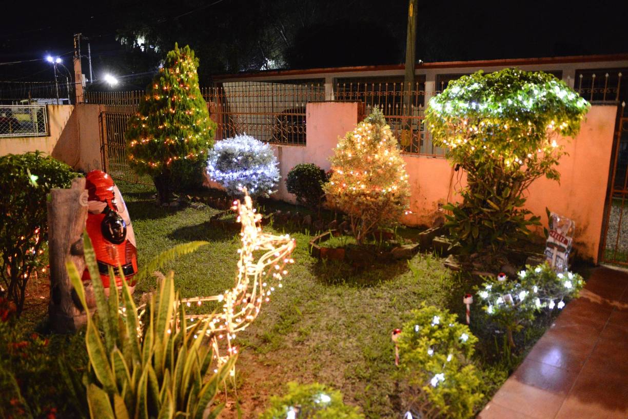 Recordó que compró sus primeros adornos de Navidad cuando sus hijos aún eran niños, debido a que quería que ellos pudieran disfrutar esta experiencia y tuvieran recuerdos especiales de esta época del año.