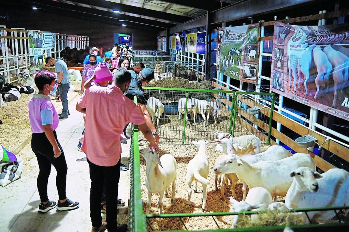 Solo dos horas después que la Expo Juniana haga su inauguración, el Campo Agas también la hará el mismo viernes 21 de junio. Será a las 6:00 pm cuando ese recinto empiece a recibir a todos los visitantes. Como cada año, el lugar ofrecerá una variedad de sitios comerciales, restaurantes y de recreación para adultos. 