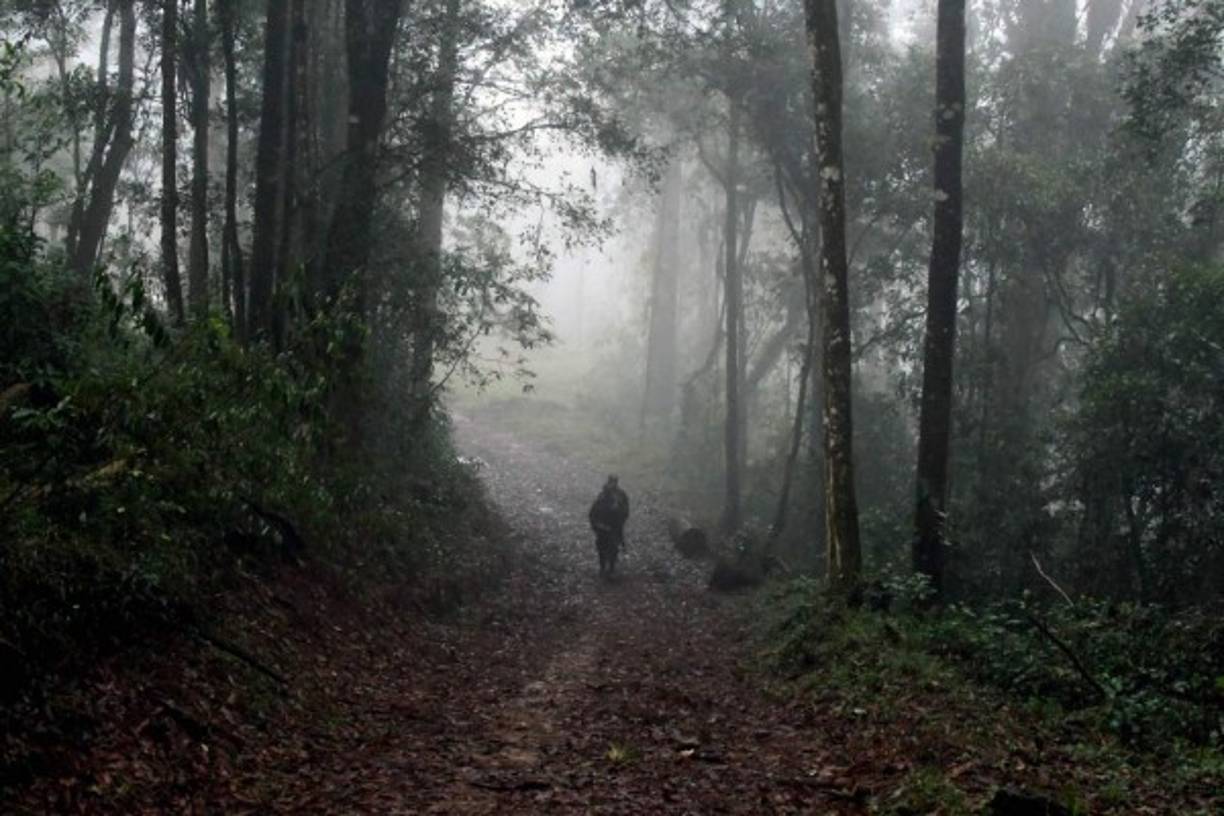 Según el informe, luego de darse como desaparecida la aeronave por condiciones meteorológicas adversas, se enviaron patrullas terrestres a los puntos de la ruta del helicóptero, ubicando en la montaña de Yerbabuena a 'la aeronave accidentada (y) no se encontraron sobrevivientes'. Esta mañana seguía la nubosidad en la zona del accidente.