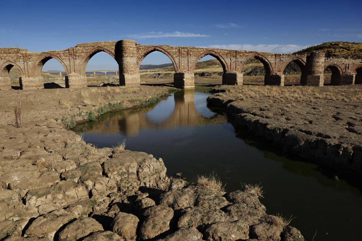 Esta situación de sequía extrema ha favorecido los incendios. Según el Sistema Europeo de Información sobre Incendios Forestales (EFFIS), el fuego ha calcinado 32.921 hectáreas entre el 15 de junio y el 21 de julio, 4.000 más que en el mismo periodo del año anterior. Durante todo 2021, Italia perdió 159.437 hectáreas de arboledas.