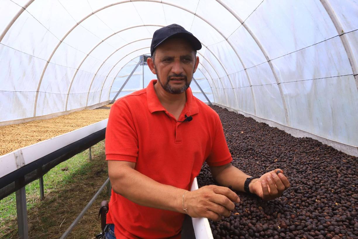 En 2011 volvió a participar con una muestra de la variedad pacas, que alcanzó un puntaje de 90.00%, ganando el primer lugar en la octava Taza de Excelencia.