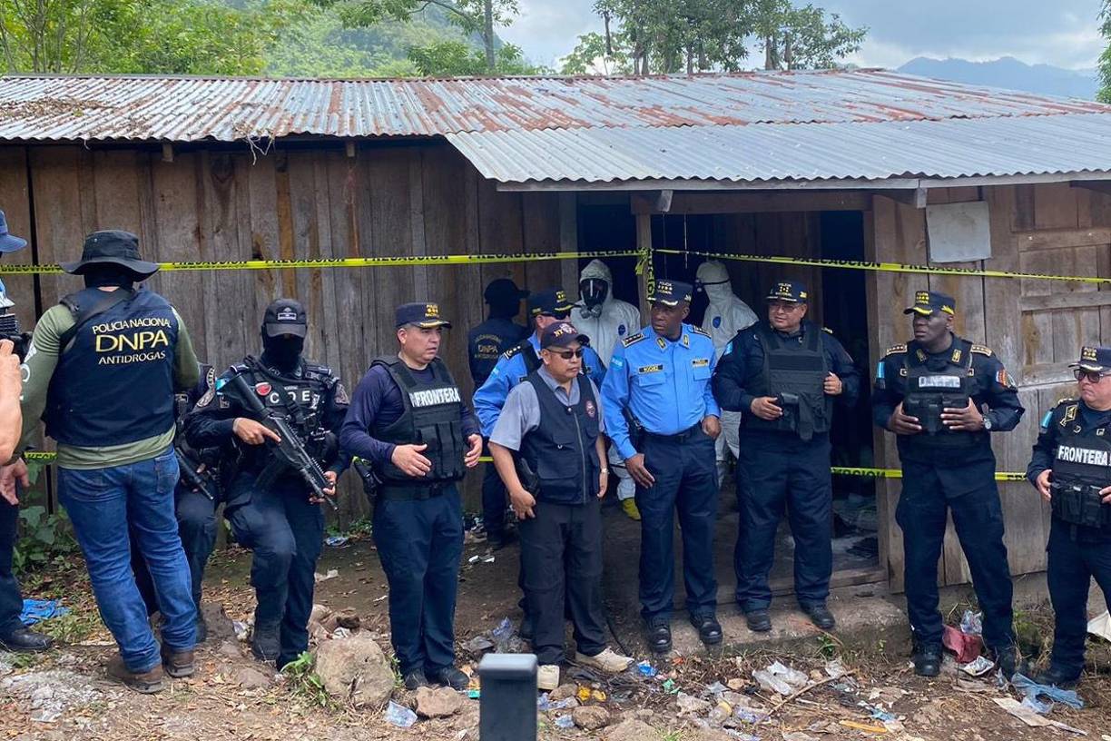 Un supuesto narcolaboratorio y más de 30 mil plantas de arbusto de hojas de coca fueron encontrados este viernes en la aldea Buena Vista de Trinidad, Santa Bárbara.