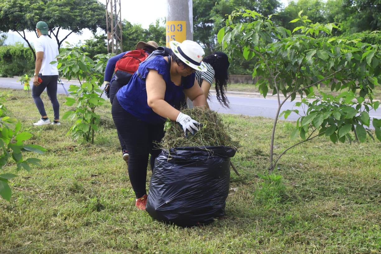 A la actividad se unió el <b>Cuerpo de Bomberos</b> y la <b>Policía Municipal</b> para dar resguardo y primeros auxilios a todos los colaboradores. 
