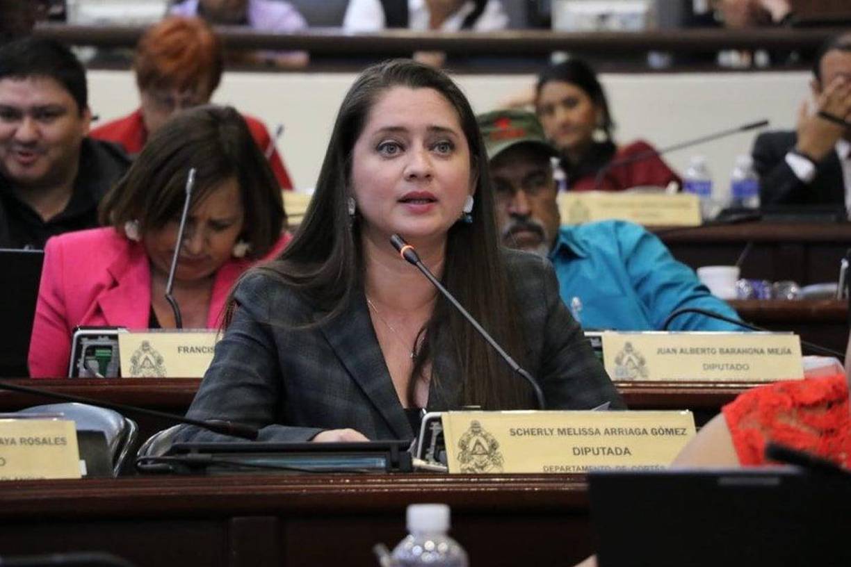 2. Diputada Scherly Arriaga, de Libre: “Ser militante de un partido político no es incorrecto, ser narco y ladrón, sí”. 