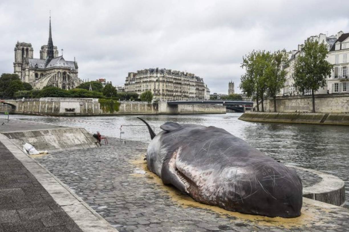 Una escultura de una ballena en el río Sena de París busca concientizar a la población sobre los efectos del cambio climático.
