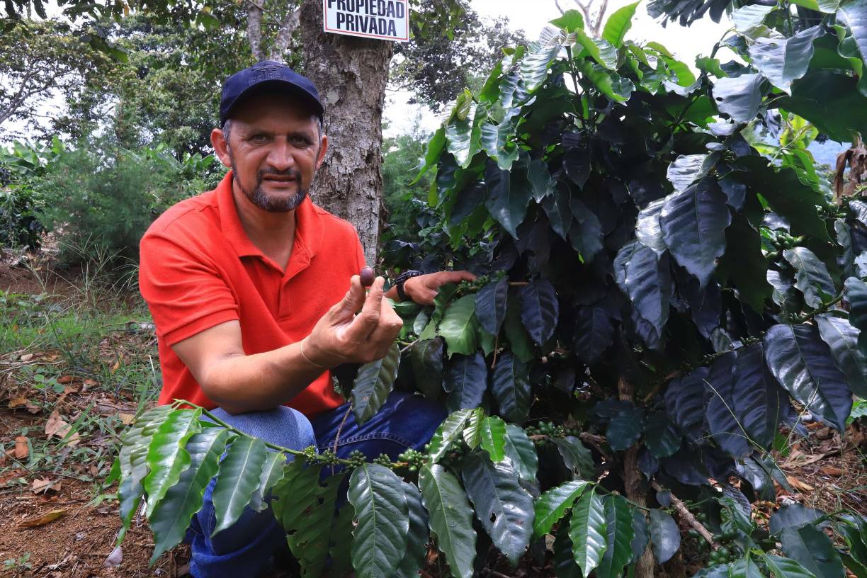 Mientras recordaba ese memorable momento, Tinoco contó que ese mismo año, antes de la competencia, en la comunidad de Góngora, donde ahora vive, habían dejado una iglesia a medio construir, por lo que le prometió a Dios que si ganaba, él terminaría de construirla.