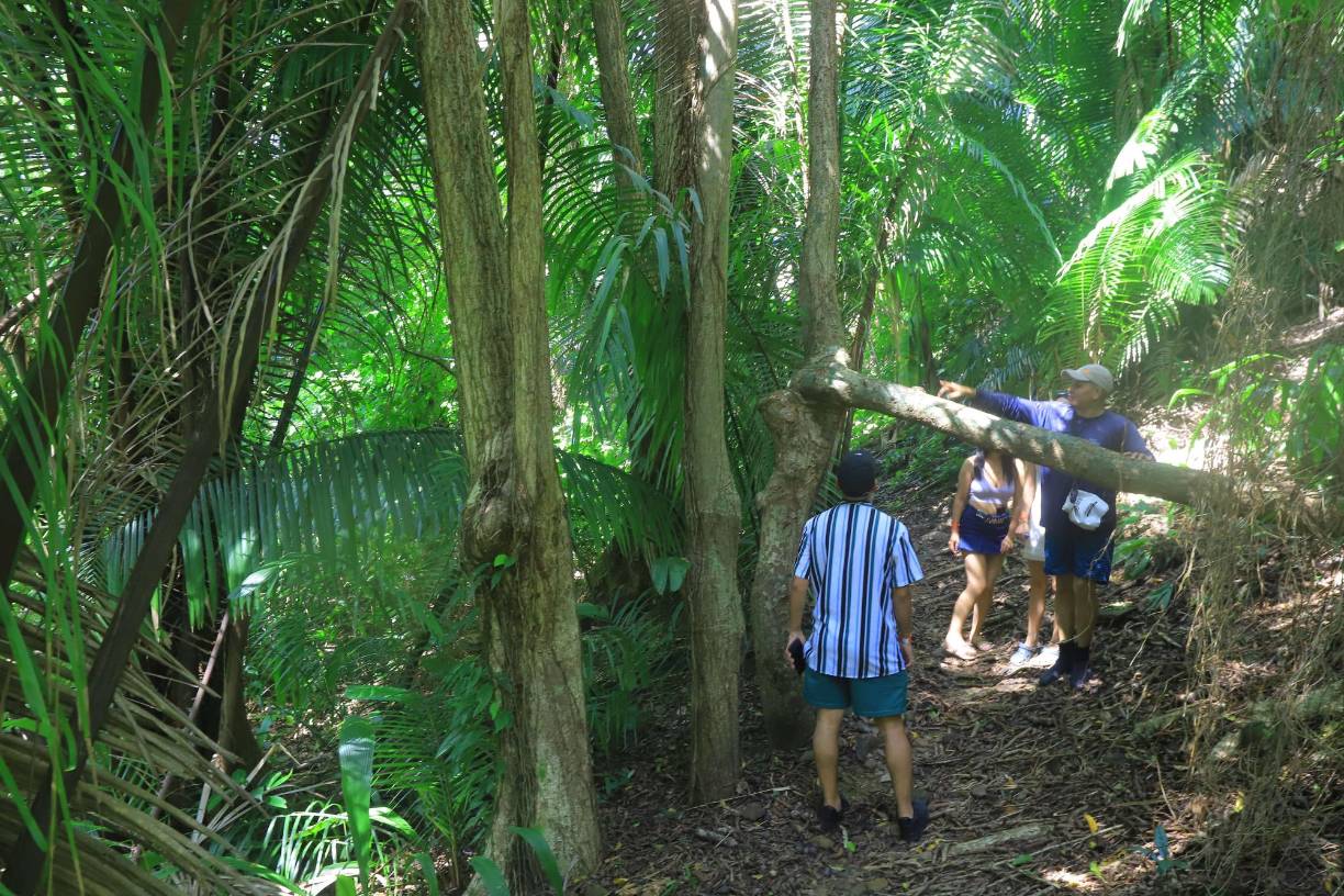 Punta Sal no solo es playa, también es adentrarse en los senderos del Parque Nacional Jeannette Kawas.