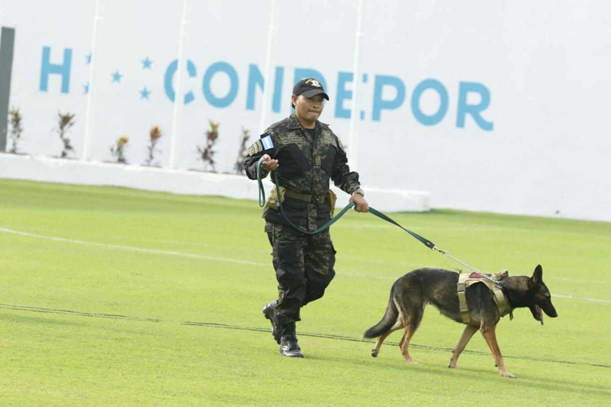 Los perros comandados por efectivos policiales se hicieron presentes en el Estadio Morazán.