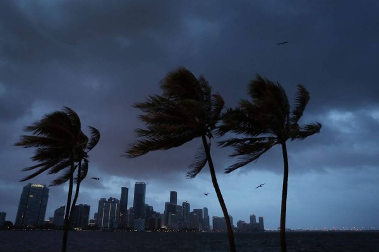 Florida está en el trayecto que se proyecta seguirá el huracán Irma.
