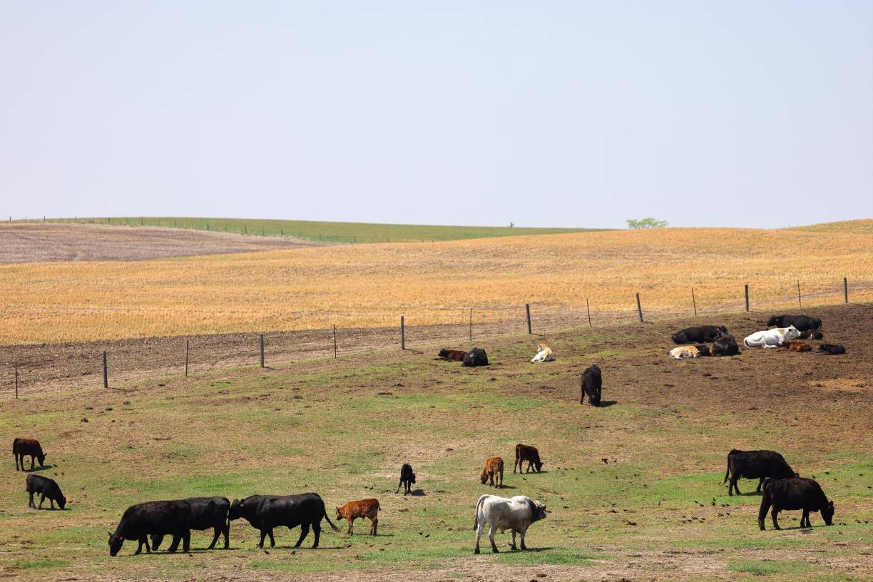 La senadora demócrata Carol Blood subraya que “Estados Unidos necesita establecer una mejor ruta hacia la ciudadanía”, tener más jueces de inmigración para acelerar los plazos y girar más recursos hacia la frontera. 