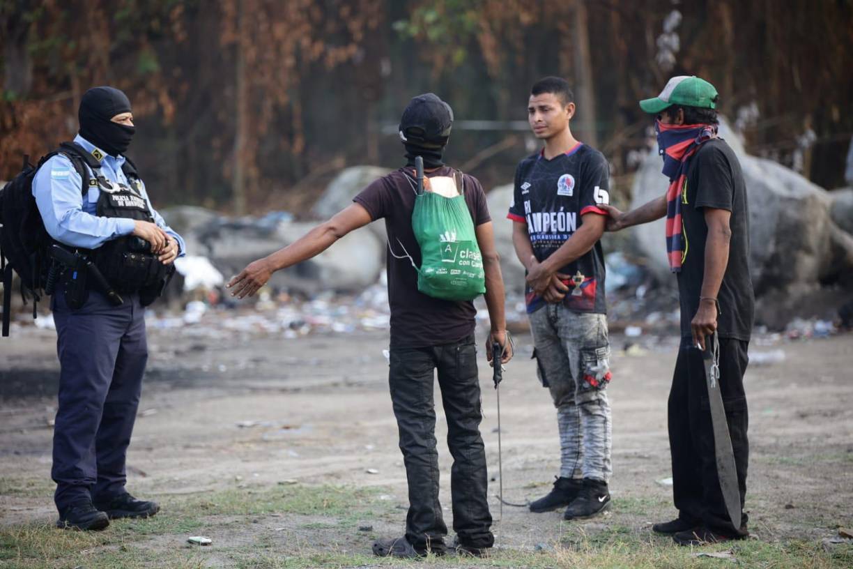 El daño que causa la invasión es irreversible, alertan los ambientalistas.