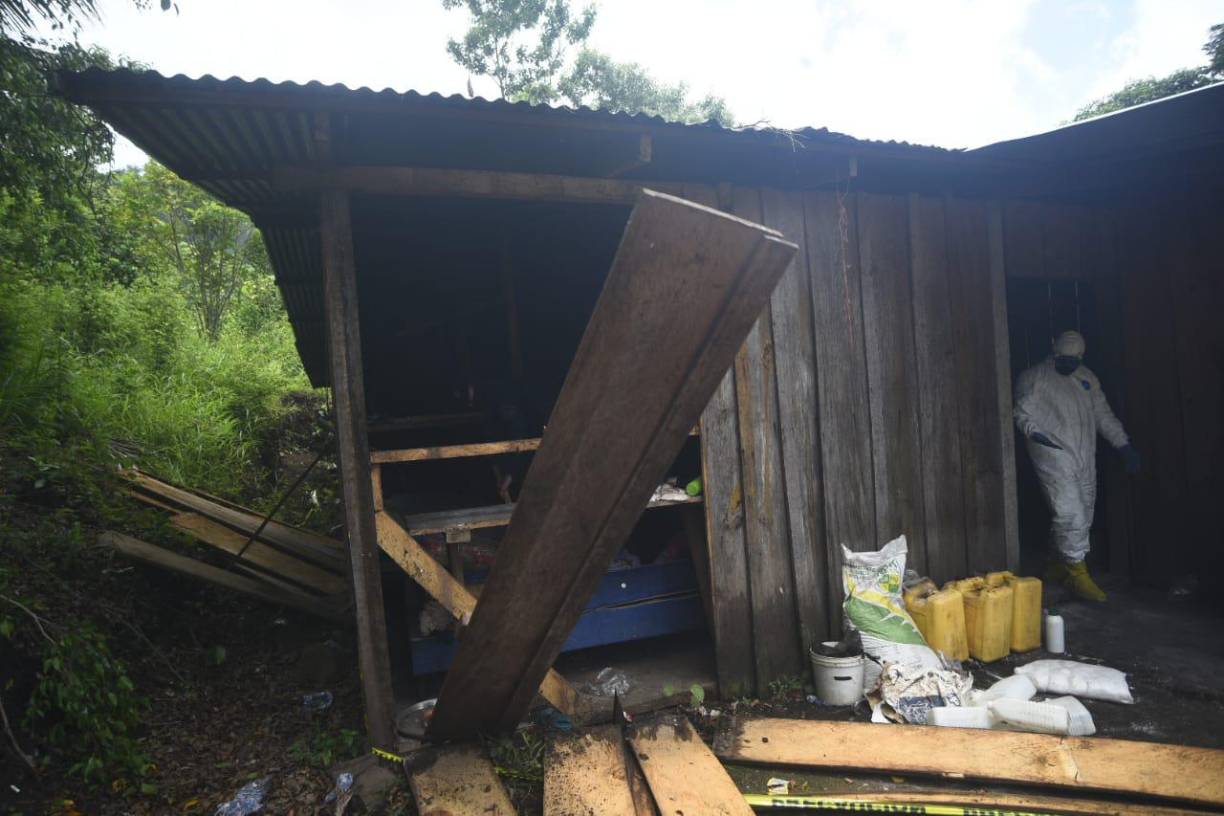 Juan Aguilar, director general de la Policía Nacional, dirigió la operación, y no dio detalles sobre cuántas personas se están investigando en este caso por su participación en la producción de droga, ni su estructura criminal, o si hay extranjeros trabajando en estas plantaciones.