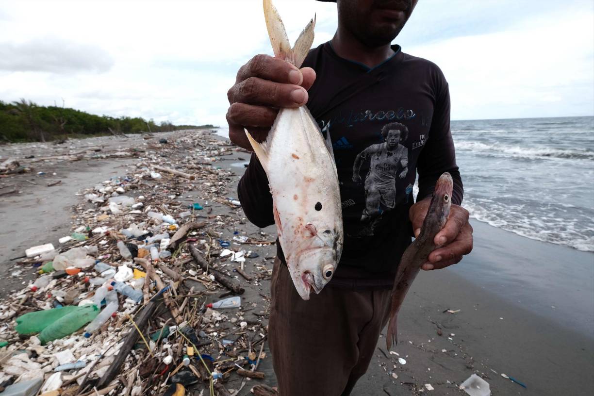 Imágenes del desastre: basura de Guatemala vuelve a afectar playas de Omoa