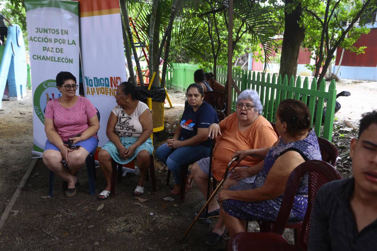 El otro año el Comité Pro Desarrollo impartirá un curso de elaboración de jabones y productos de limpieza, el parque será utilizado para cursos formativos, aseveró Odalma Henríquez.