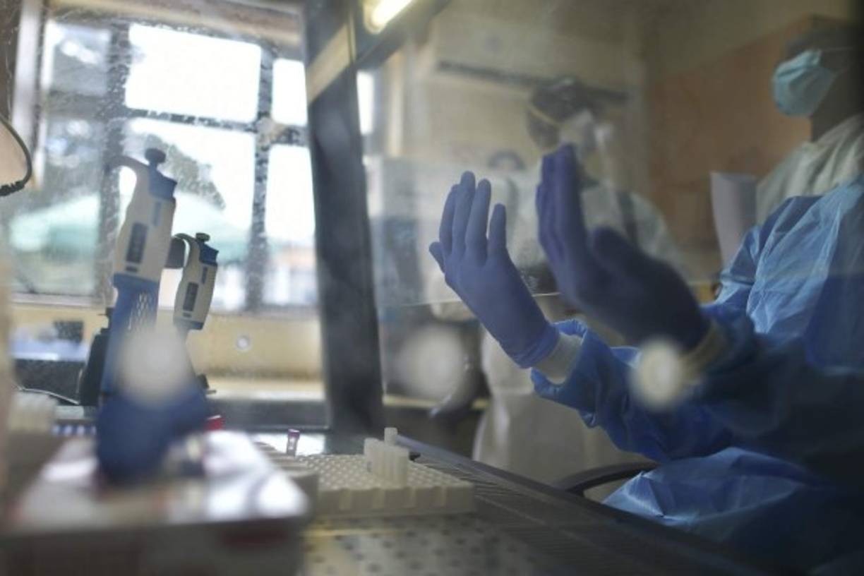 Esta mujer voluntaria es investigadora de zoología y microbiología en la Universidad de Oxford, tras graduarse en Ciencias Biológicas. <br/><br/>Fue la segunda persona en someterse a la primera fase de pruebas en humanos de la vacuna. Su primera inyección, el pasado 23 de abril, el día de su cumpleaños, fue transmitida en directo por la televisora británica BBC.