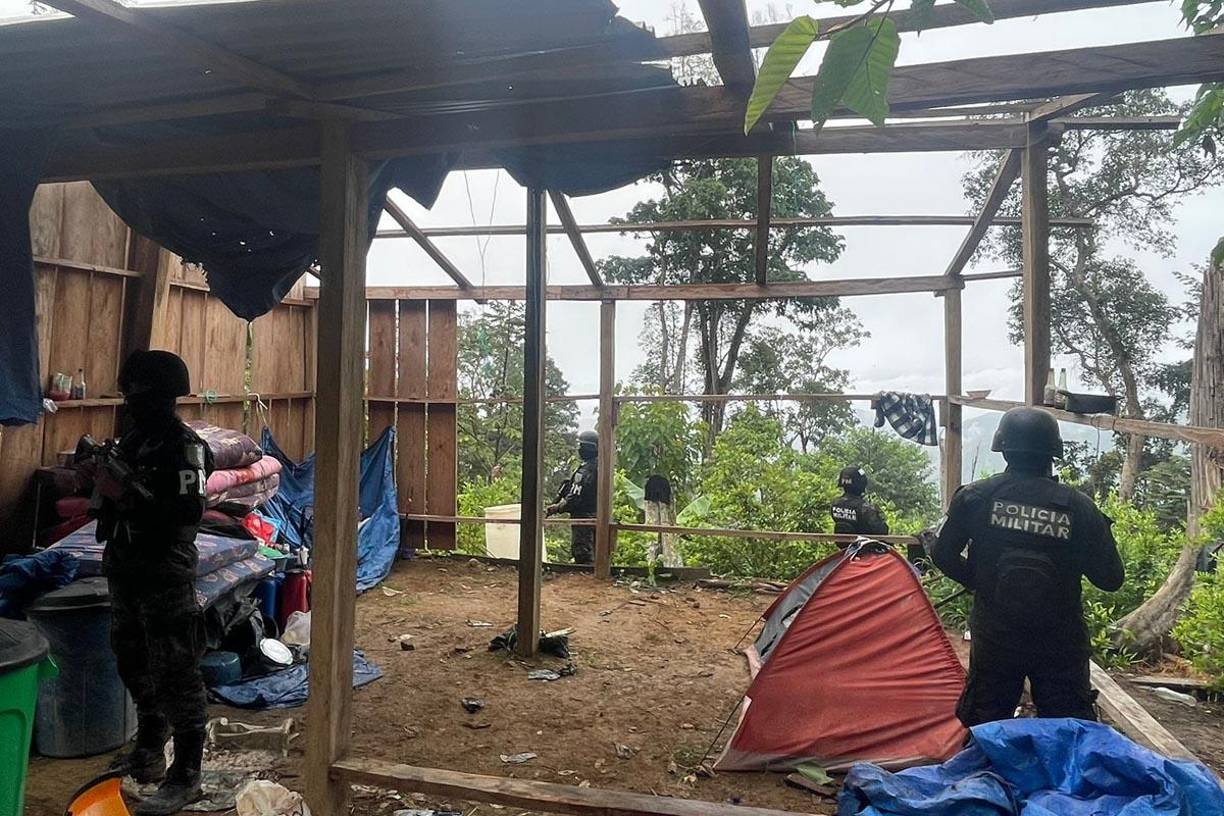 En el lugar también encontraron una balanzas, bombas para fumigar y combustible.