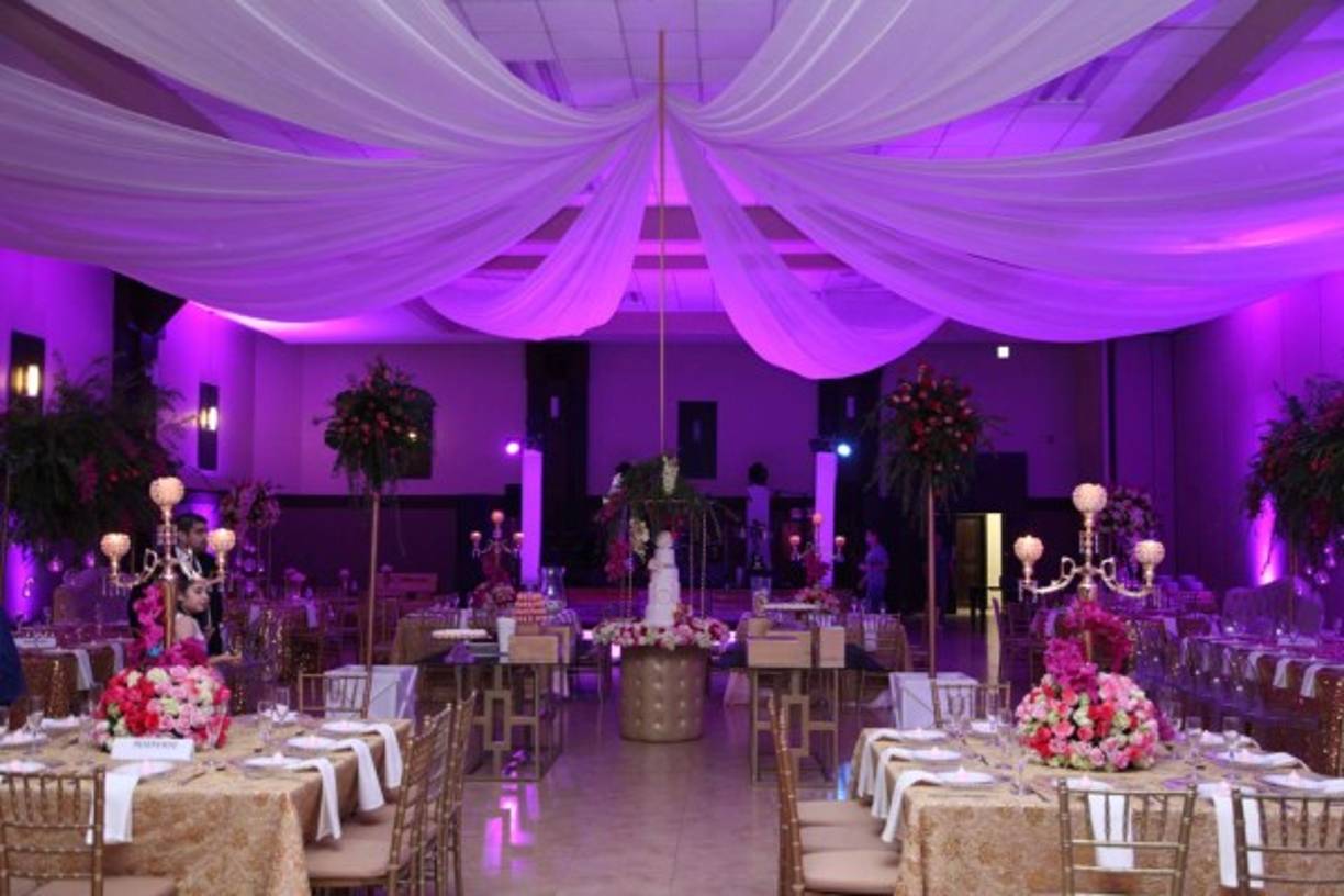 Bellas rosas, hortensias y orquídeas criollas.