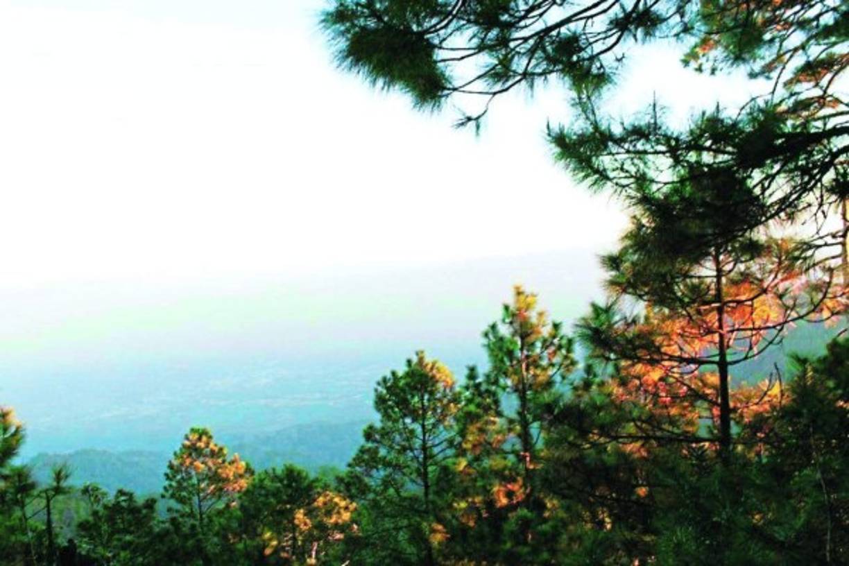 En el marco del aniversario de independencia patria, Diario LA PRENSA y diario El Heraldo con el apoyo de Marca País, realizamos el concurso Patrimonio Natural del Bicentenario para que sean nuestros lectores quienes elijan a su favorito. <br/><br/>