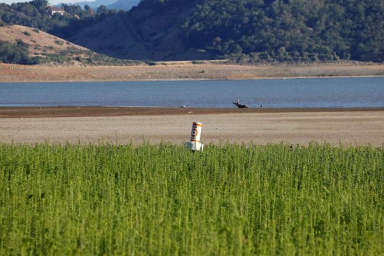 La ola de calor, que ha provocado también varios incendios forestales a ambos lados de la frontera entre Estados Unidos y Canadá, se debe a un fenómeno conocido como 'cúpula de calor', una especie de contención de aire caliente en la zona debido a las altas presiones.