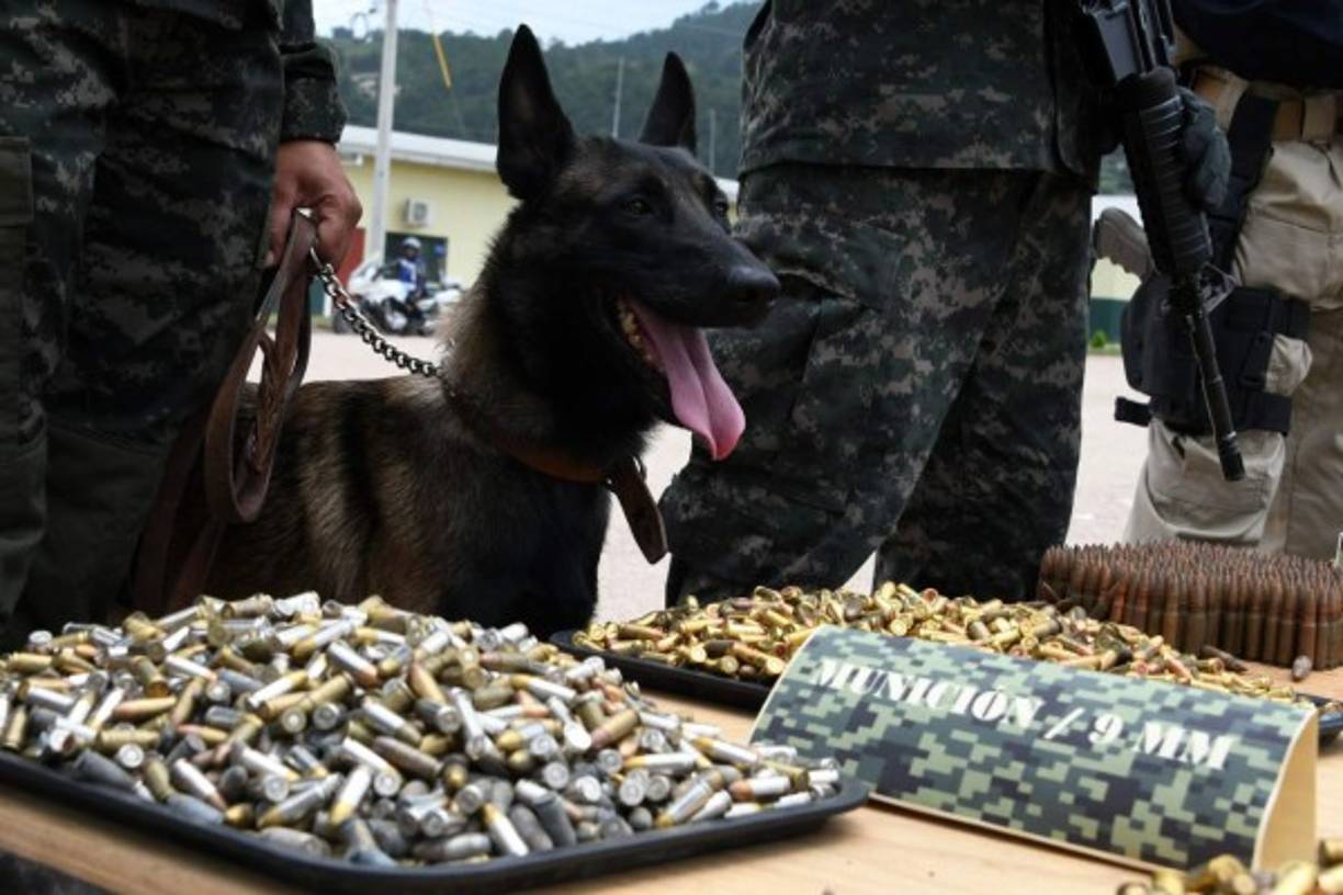 Decenas de fusiles, subametralladoras, pistolas y explosivos fueron descubiertos este martes por la policía de Honduras, en una cárcel en la que estaban presos integrantes de la pandilla Barrio 18, informó el gobierno. AFP