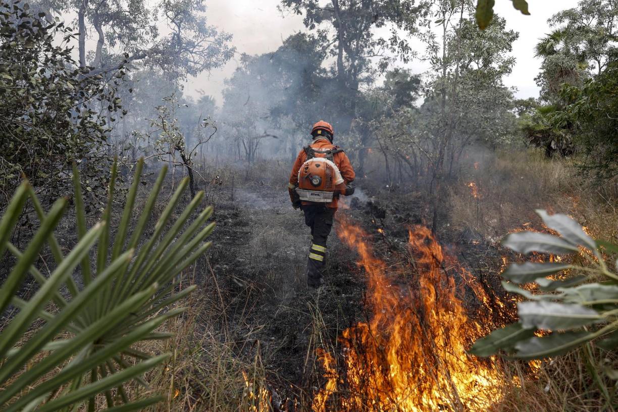 El Gobierno de Luiz Inácio Lula da Silva prometió poner fin a la deforestación ilegal en la Amazonía para 2030, que había aumentado durante el gobierno de su predecesor, el ultraderechista Jair Bolsonaro (2019-2022). 