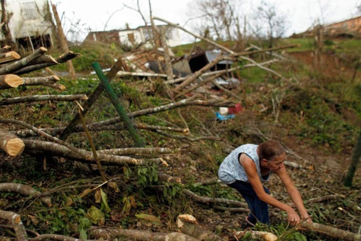Edificios enteros con las ventanas rotas, semáforos que no funcionan y ninguna hoja en los pocos árboles que quedan en pie: el panorama es desolador, pero los puertorriqueños no se dan por vencidos y se levantan de entre las ruinas.