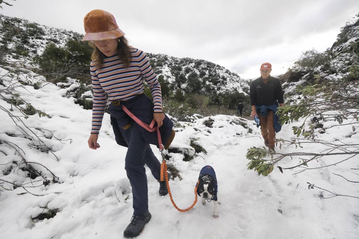El clima de invierno está causando problemas en otras regiones del oeste de Estados Unidos. Oregon reporta nevadas que casi alcanzan niveles récord, y Wyoming cerró varias de sus carreteras.