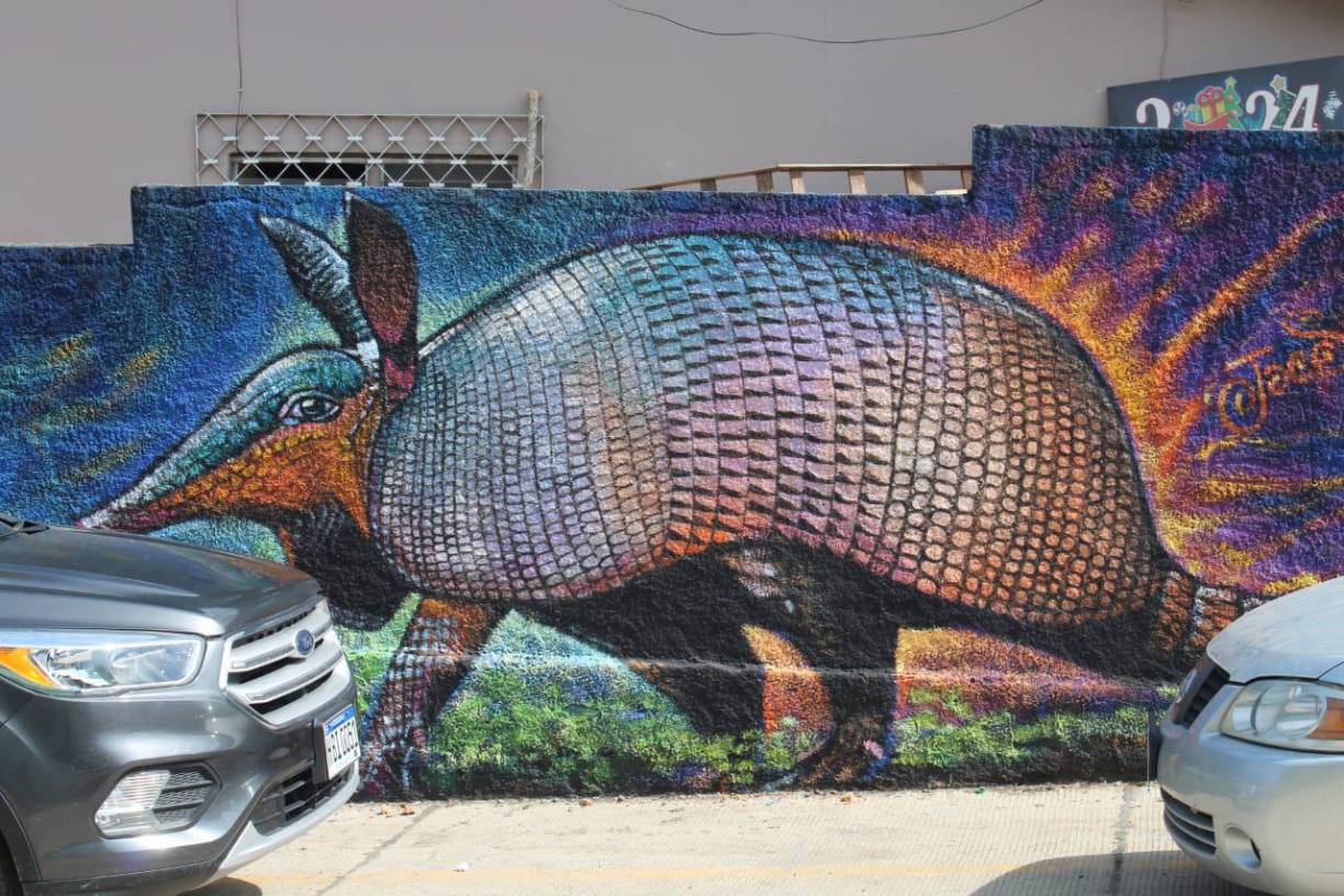 En la creación de las pinturas participaron 37 artistas nacionales y de Colombia, México, Guatemala, El Salvador y Argentina. 