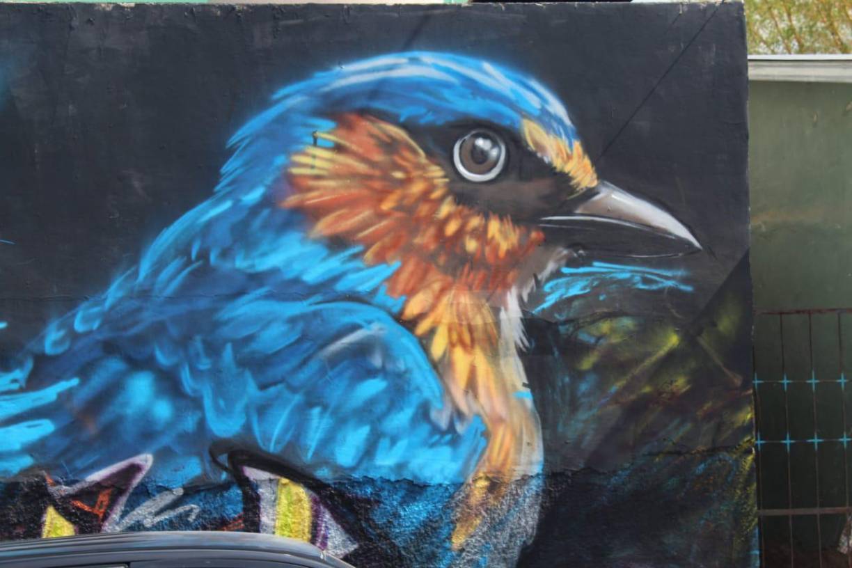 “Queremos que nos dejen de decir municipio más atrasado sino que nos digan el municipio más emprendedor del departamento de Cortés”, aseguró.