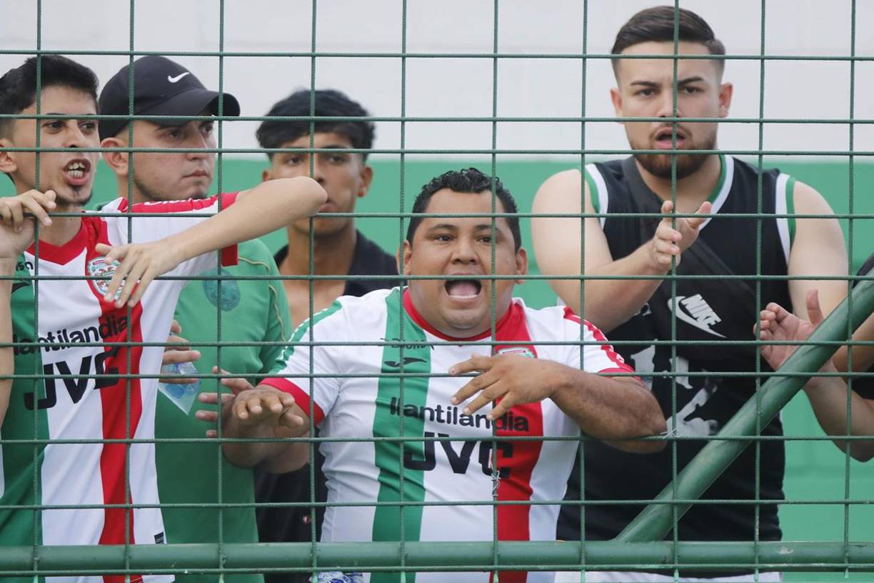 El aficionado de camiseta negra fue quien le lanzó la patada a Carlos ‘Muma’ Fernández.