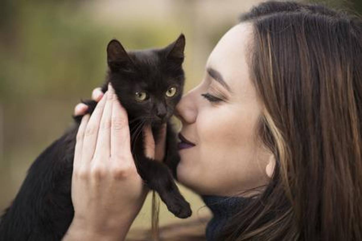 Los gatos negros fueron vinculados con lo esotérico debido a su apariencia misteriosa y su conexión con creencias mágicas, tales como:<b>Protectores energéticos</b>: se dice que tienen la capacidad de absorber energías negativas y proteger el hogar.