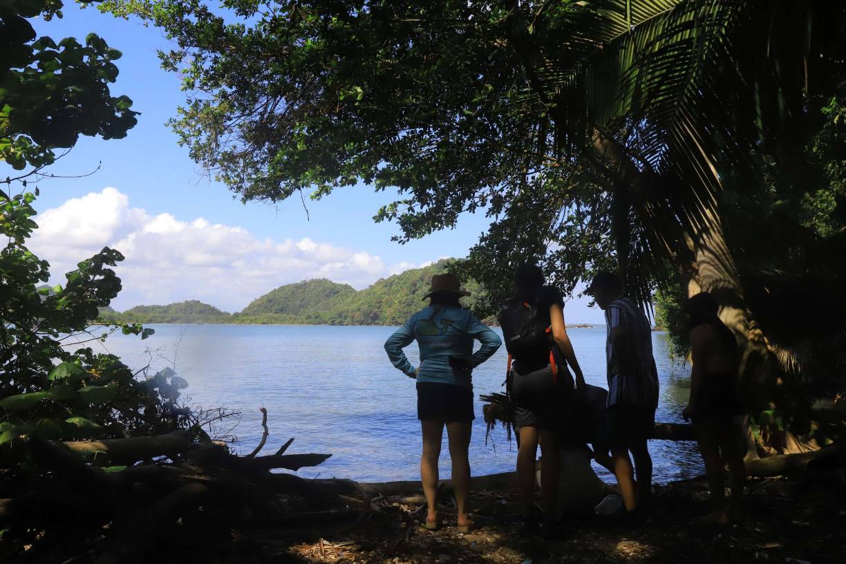 El parque tiene una extensión total de 780 kilómetros y el 64% es la zona núcleo.