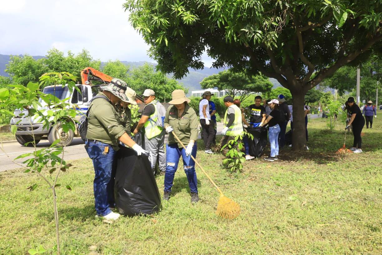 Este día se está retirando <b>basura</b>, todo tipo de <b>desechos</b> y podando <b>árboles</b> del <b>bulevar</b> y las orillas de la <b>33 calle</b>, desde la altura de los <b>juzgados</b> hasta llegar al <b>estadio Olímpico</b>.