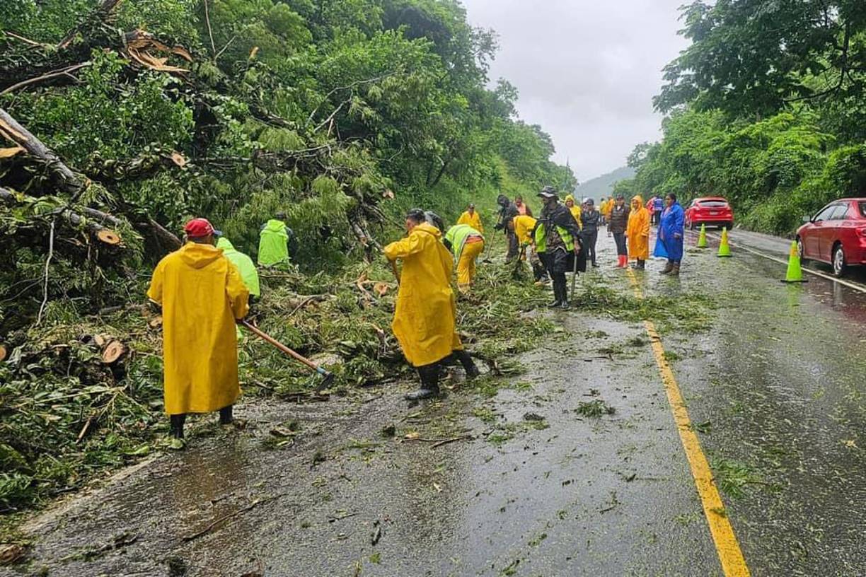 Trabajadores municipales limpiaron el sedimento arrastrado por la lluvia, dejando la vía libre para el tránsito vehicular. 