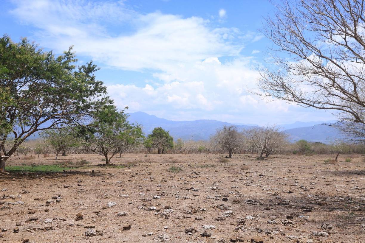 “Lo que estamos tratando de hacer son acciones preventivas para que se tomen las medidas necesarias para afrontar la problemática en la escasez de alimentos”, dijo a periodistas el jefe de Alerta Temprana, Juan José Reyes.