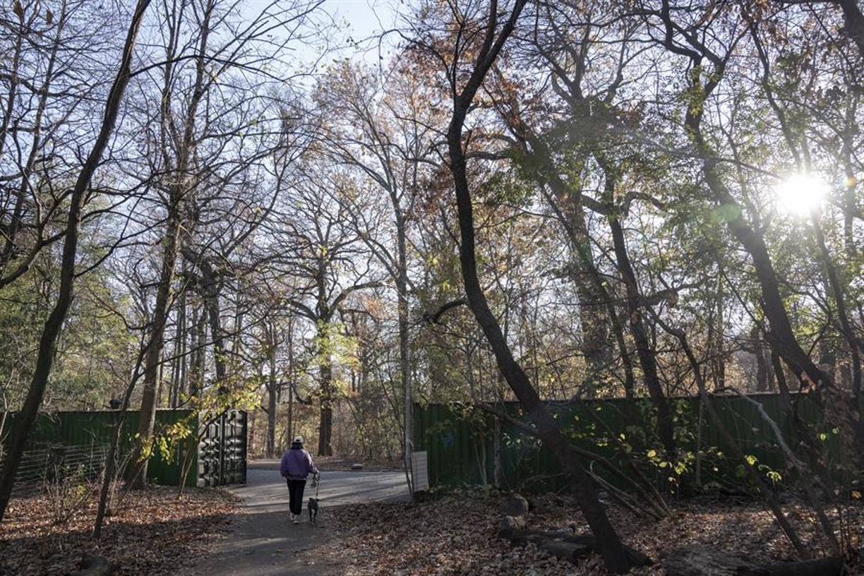 La Gran Manzana no vio caer agua los primeros 29 días de octubre, y ese día apenas cayeron 0,02 cm de lluvia. Desde entonces, Nueva York solo ha vuelto a ver una ligera llovizna, aunque se espera que al final de esta semana vuelva a haber precipitaciones.