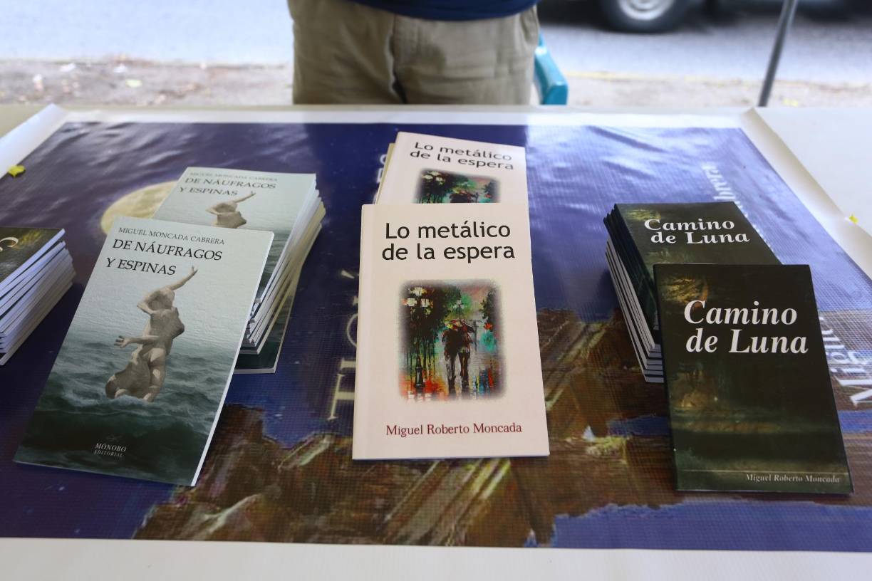 Una variedad de géneros y de escritores se pudieron presenciar en la Fiesta del Libro Hondureño. 
